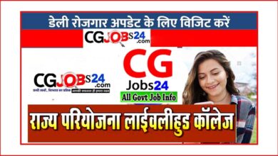 Cg DPLC Dantewada Recruitment 2020 : जिला परियोजना लाईवलीहुड कॉलेज सोसाईटी दंतेवाड़ा (Chhattisgarh Livelihood College Society Dantewada)