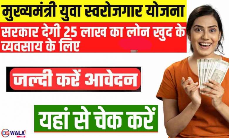 छत्तीसगढ़ मुख्यमंत्री युवा स्वरोजगार योजना 2024 के तहत 2 से 10 लाख तक लोन कैसे मिलेगा जानिए