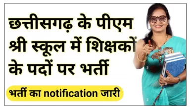 Recruitment in PM Shri Schools in Chhattisgarh, apply for these posts including teacher