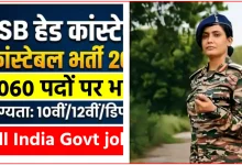 (SSB) सशस्त्र सीमा बल 1060 पदों पर भर्ती 2026